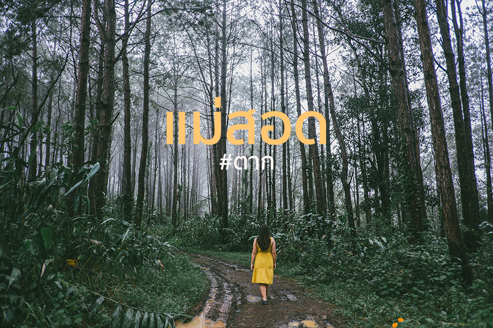 “แ ม่ ส อ ด” ใครว่าไม่น่าเที่ยว!